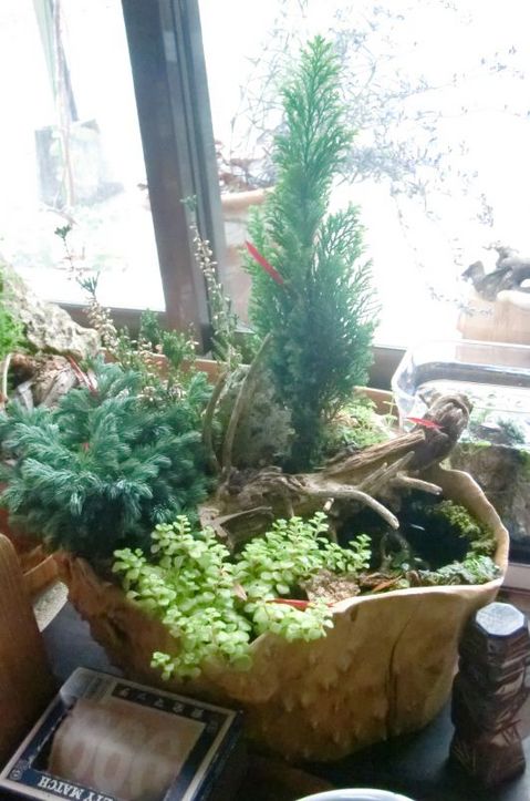2012-12-03 12.03.05.jpg